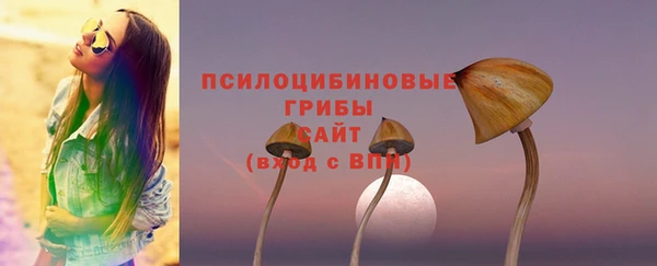 2c-b Семилуки